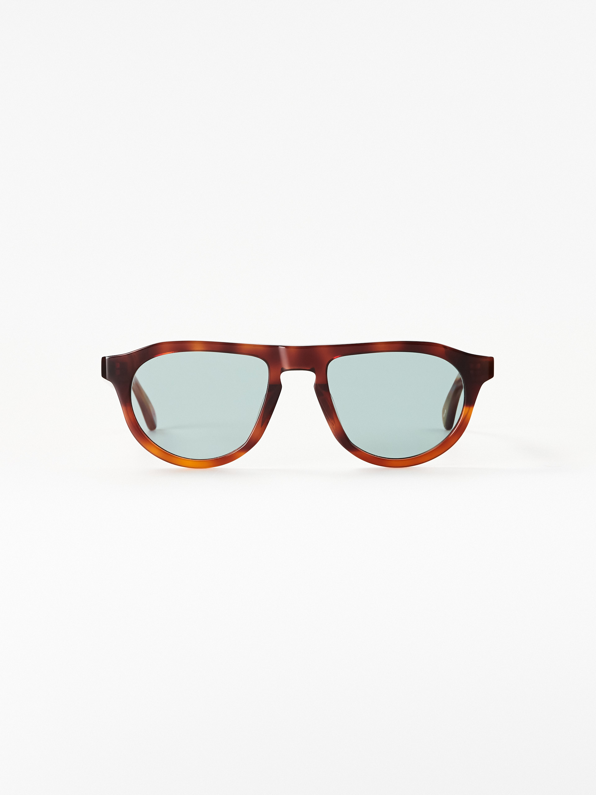 Peter and May Drive-in dandy tortoise kalla